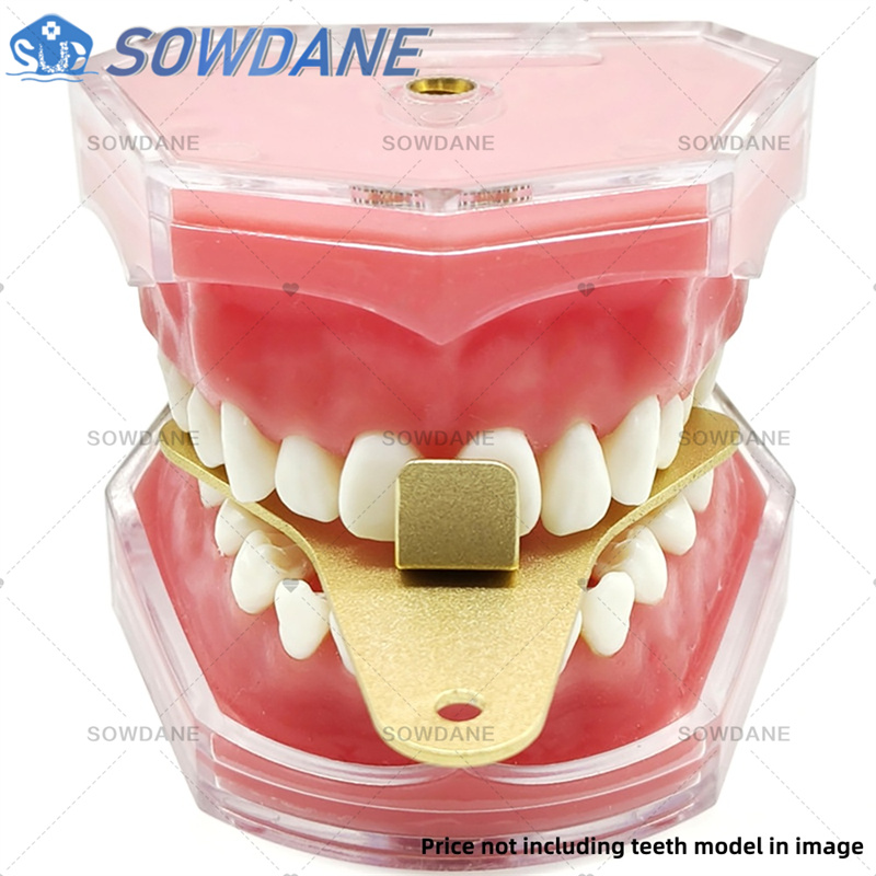 Dental Lab Impression Trays to - Teeth Whitening Tray ulasan dan harga