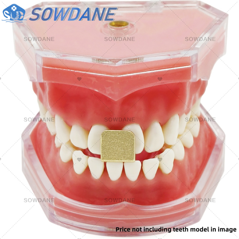 Dental Lab Impression Trays to - Teeth Whitening Tray ulasan dan harga