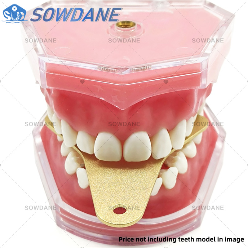 Dental Lab Impression Trays to - Teeth Whitening Tray ulasan dan harga