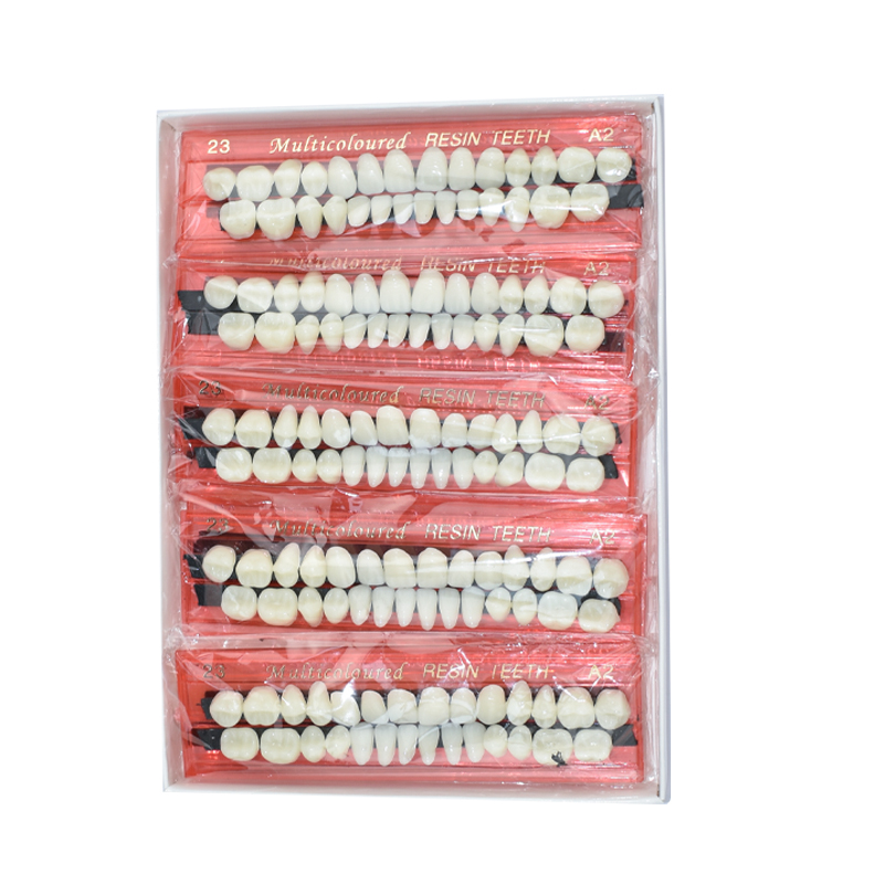 28 Teeth Dental Resin Denture  - Teeth Whitening Kit ulasan dan harga