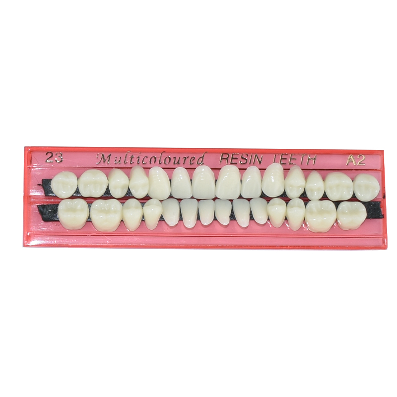 28 Teeth Dental Resin Denture  - Teeth Whitening Kit ulasan dan harga