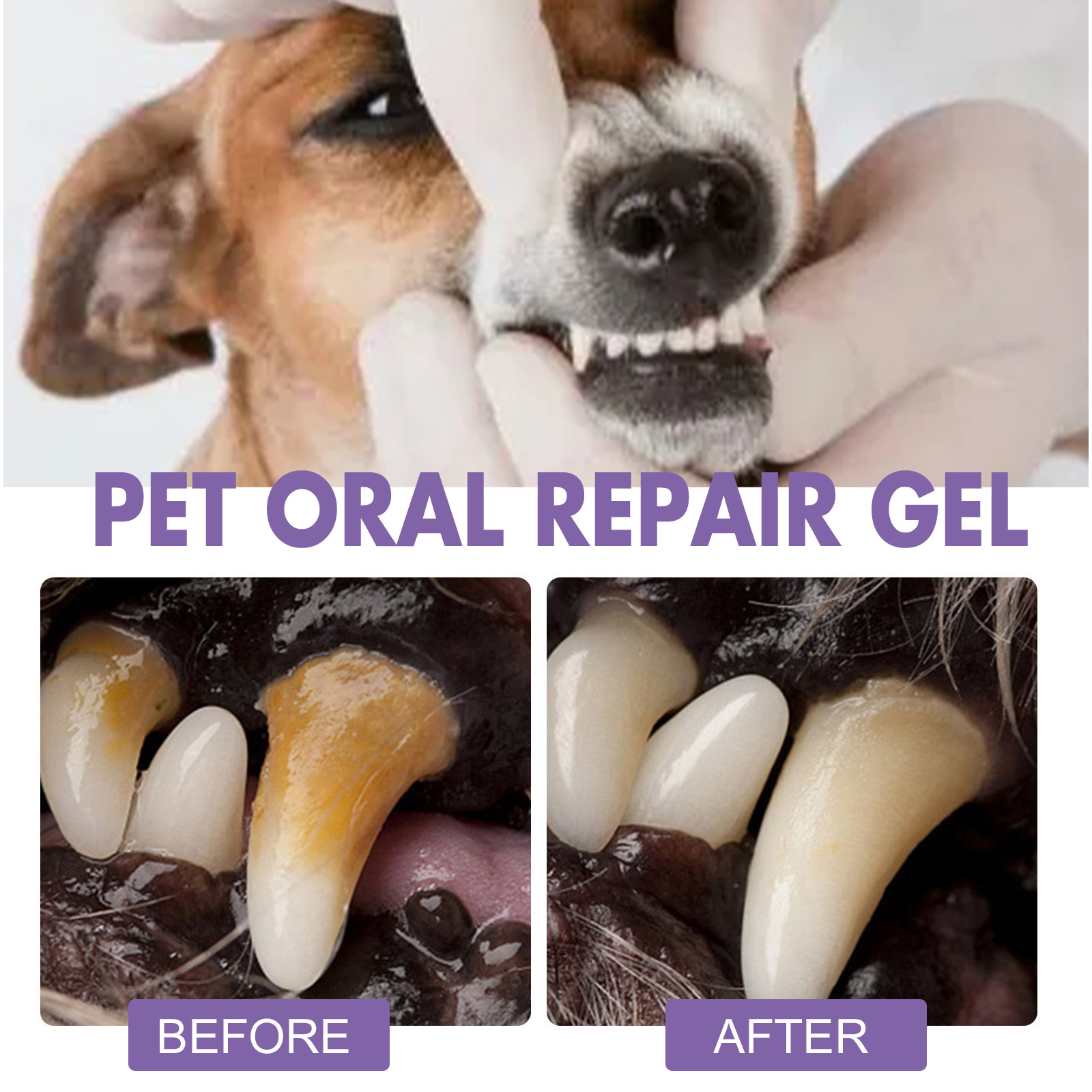 Pet Oral Repair Gel Puppy Tart - Teeth Whitening Cream ulasan dan harga