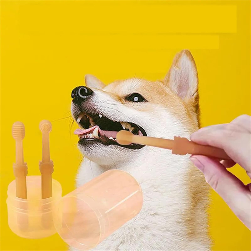 Teeth Whitening Dog Cat Silico - Teeth Whitening Kit ulasan dan harga