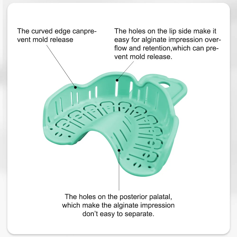 6pcs Dental Implant Tray Green - Teeth Whitening Tray ulasan dan harga