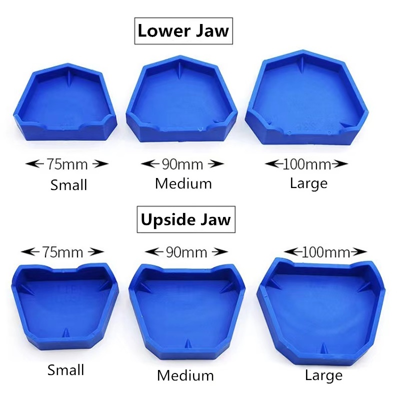 6pcs/set Dental Model Base Sil - Teeth Whitening Tray ulasan dan harga
