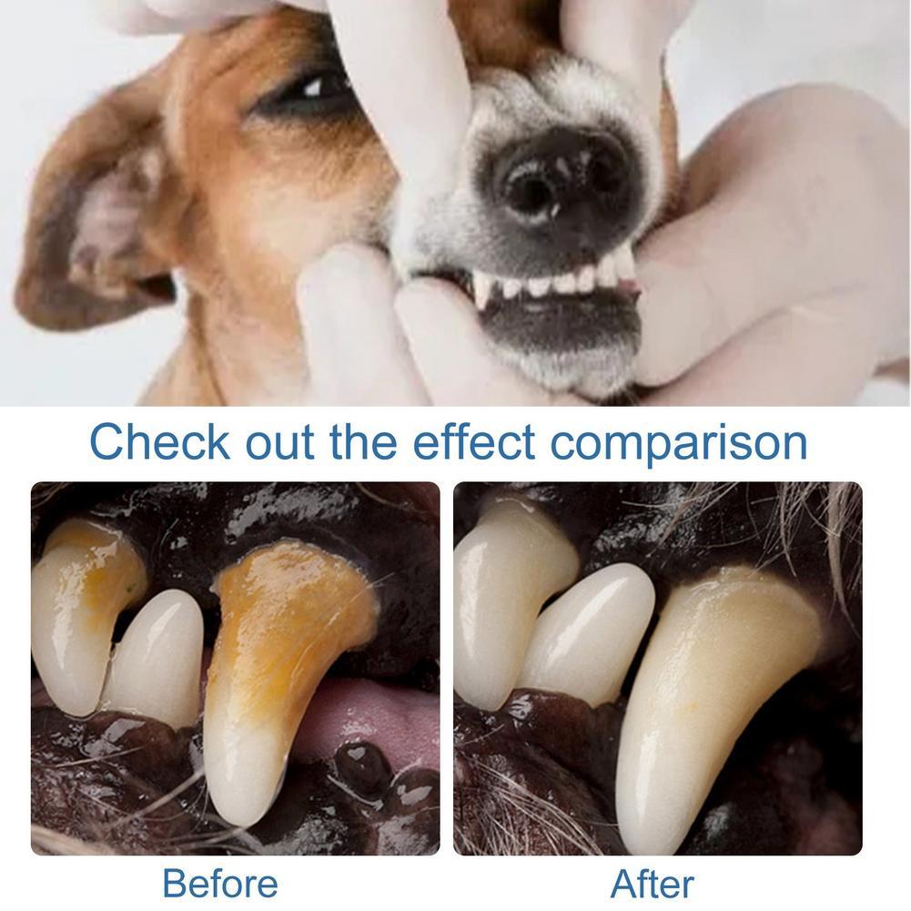 60ml Pet Oral Tartar Remover S - Teeth Whitening Yellow Teeth ulasan dan harga